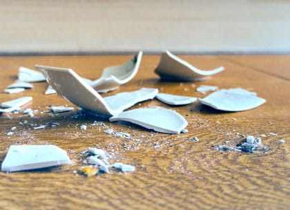 Pieces of broken china on the floor